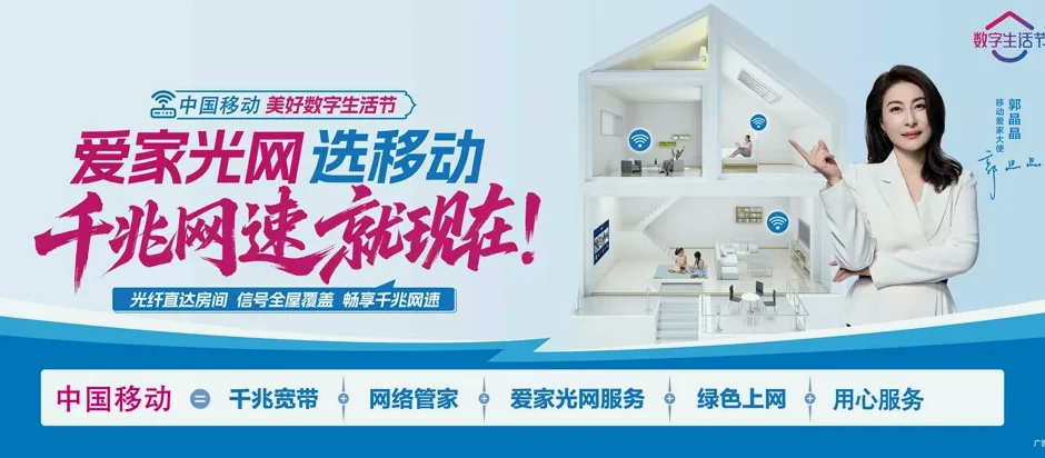 沈丘县沈丘县卞路口乡 移动宽带